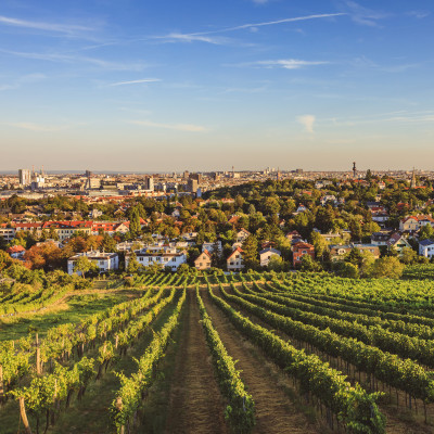 View from vineyards over Nussdorf in Vienna, Austria