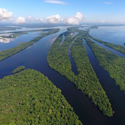 Amazonas