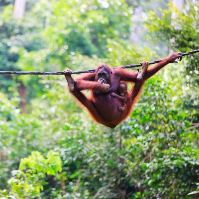 Malaysia Reisen