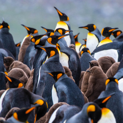 Antarctica
