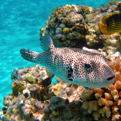 Seychellen Sehenswürdigkeiten