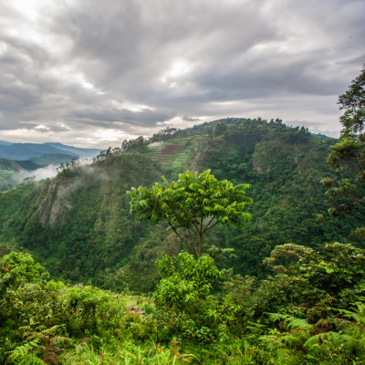 Uganda