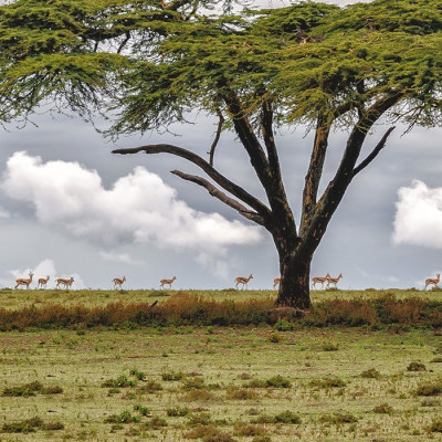 Nairobi - History of Kenya