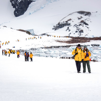 Antarctica tours