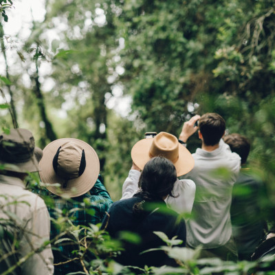 Bwindi Impenetrable National Park, Uganda
