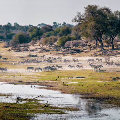 Boteti River, Makgadikgadi National Park, Botswana, Africa