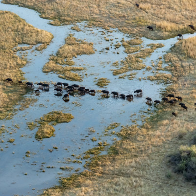 Aerial view of Okavango Delta in Botswana, Africafrica