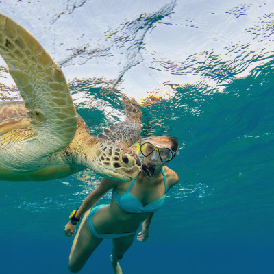 Snorkeling woman with hawksbill turtle, underwater photography