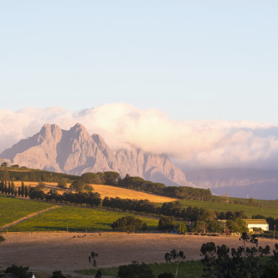 Landscape in Stellenbosch, Western Cape, South Africa, at sunset