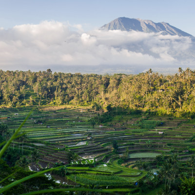 Beautiful volcano Agung and rice fields. Bali. Indonesia. Asia