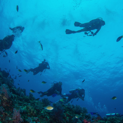 Diving in deep blue sea, Indonesia, Asia
