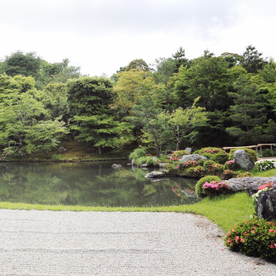 Japanese garden in kyoto japan
