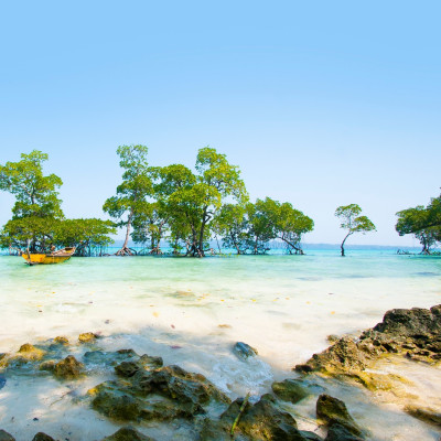 Stunning beach at Havelock Island in the Andamans