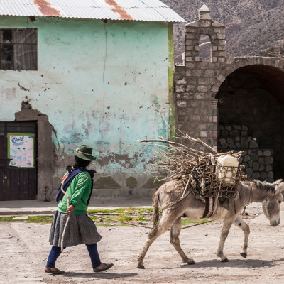 Woman carry her backload donkey by the square of Andagua in the volcanos valley, Arequipa, Peru