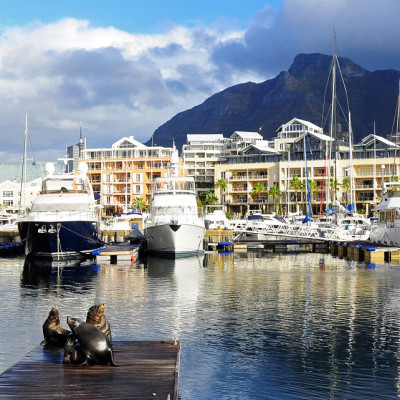 Enchanting Travels South Africa Tours Sea lion on a jetty in Cape Town V&A Waterfront