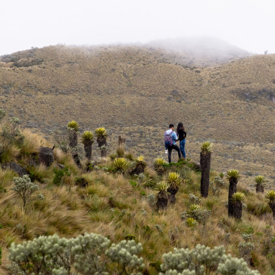 People hiking in Los Nevados National Natural Park, Colombia, South America