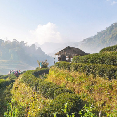 Chiang Mai, Thailand