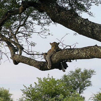 Zimbabwe Tours