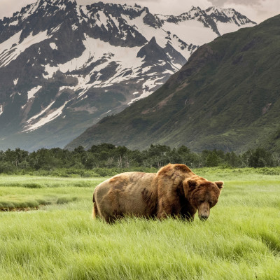 Best Time to Visit Alaska Monthly Climate Guide by Experts