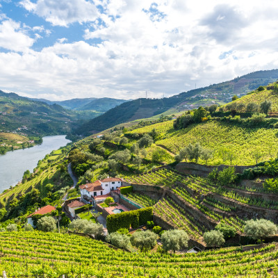 Landscape of the Douro river regionin Portugal - Vineyards