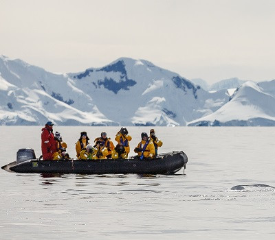 Polar Regions Tour - Whale Watching - Enchanting Travels