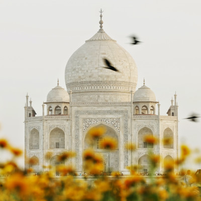 Indien Reisen