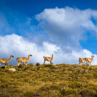 Is Chile safe to visit?