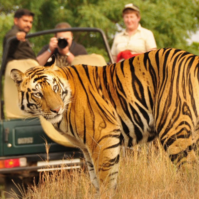 Central West India Tours