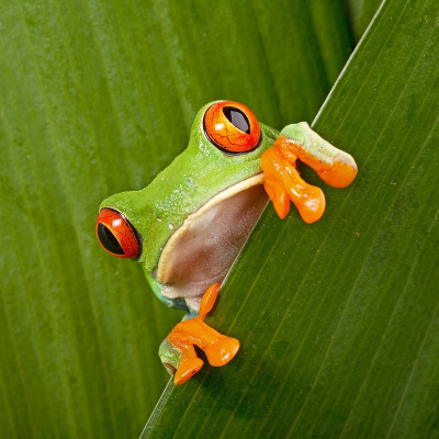 Costa Rica Reisen