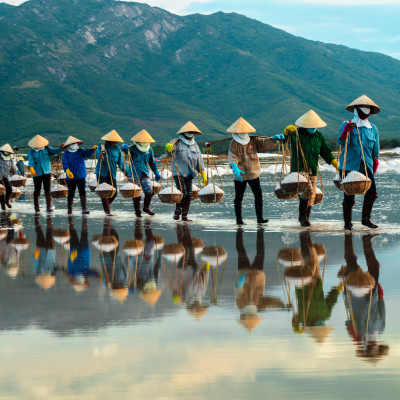 Vietnam Tours