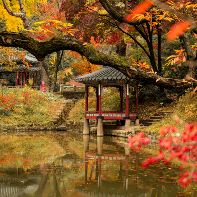 Herbstlicher Blätterwald am Pavillon und See des Changdeokgung Palastes Seoul