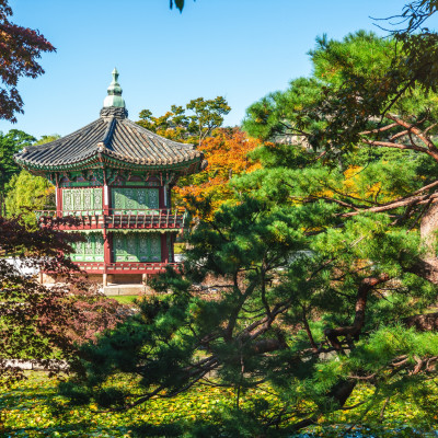 Von Bäumen umrahmter Pavillon in den Gärten des Gyeongbokgung Palastes in Seoul Südkorea