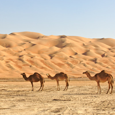 Oman Reisen