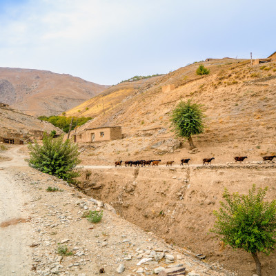 Beste Reisezeit Usbekistan