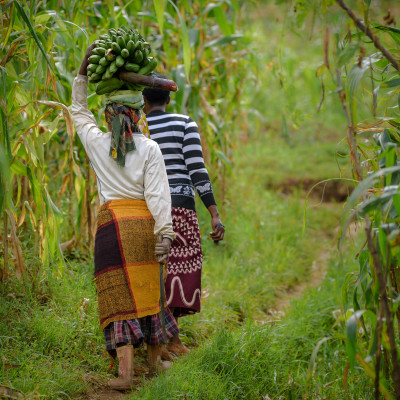 Beste Reisezeit Uganda