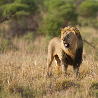 Best Things To Do in South Africa