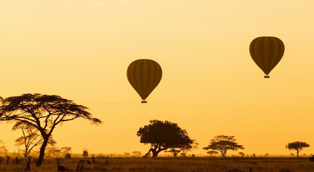 Fly High: Hot Air Balloon Adventures Around The World