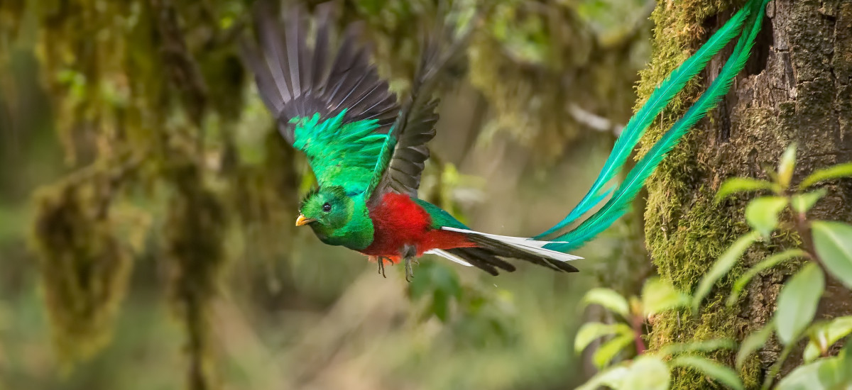 Costa Rica
