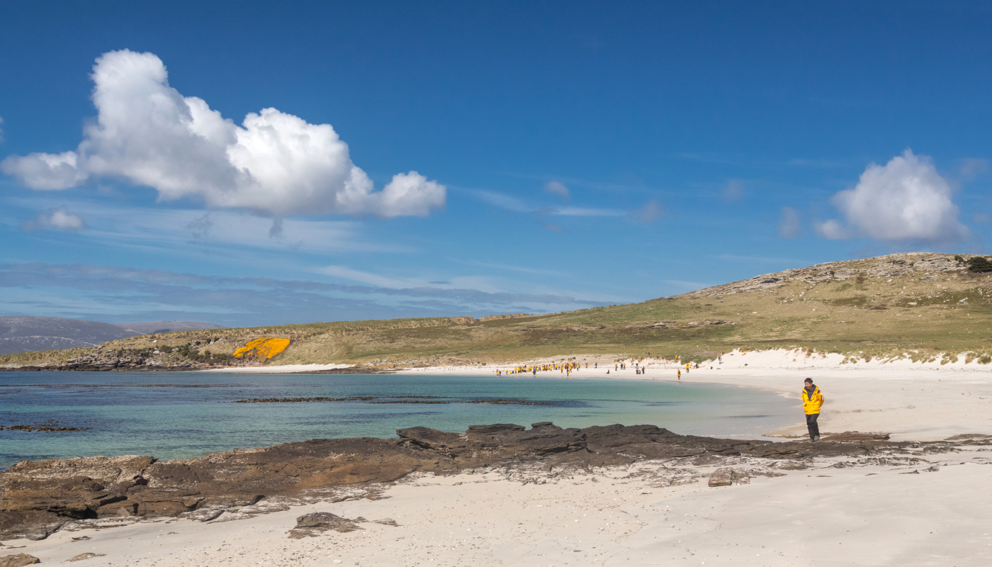 The Falkland Islands (Islas Malvinas)