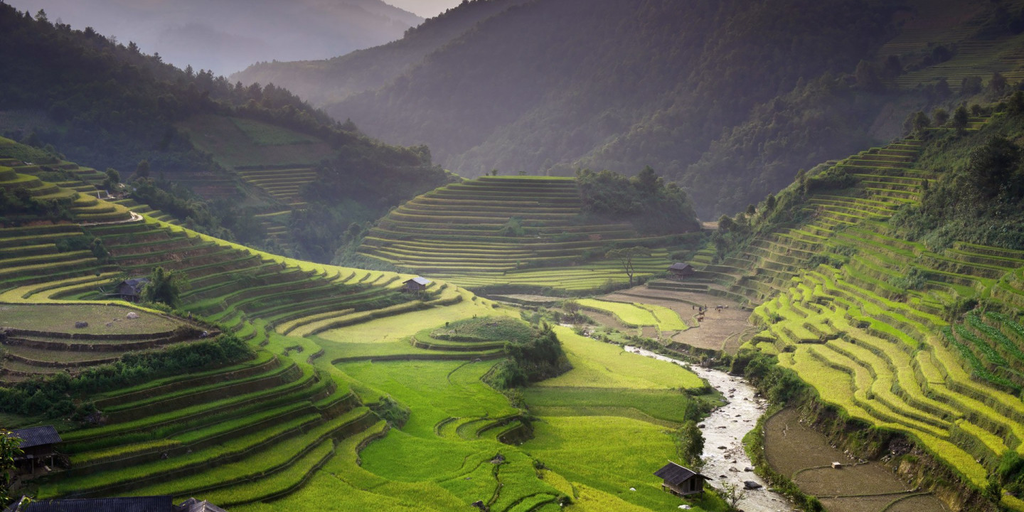 Rice Field in Vietnam Tour