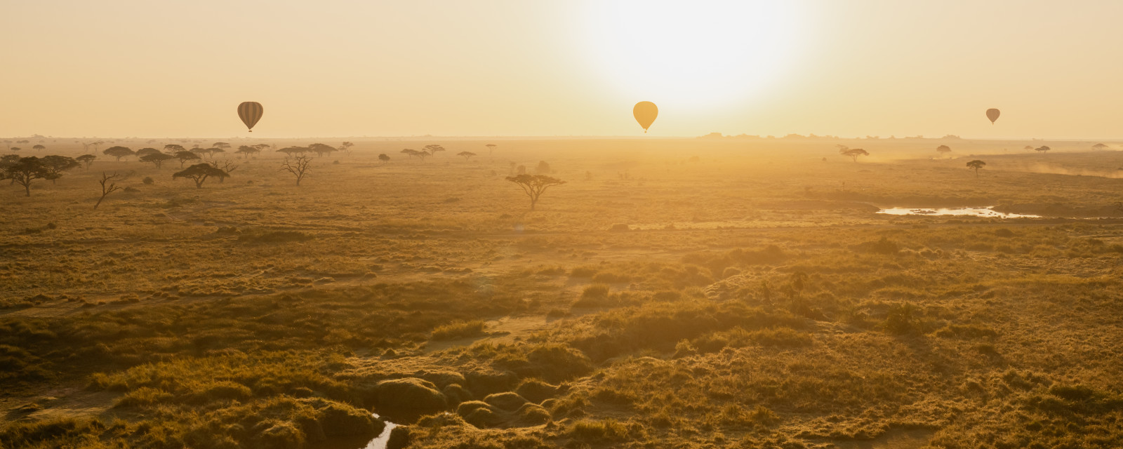 serengeti