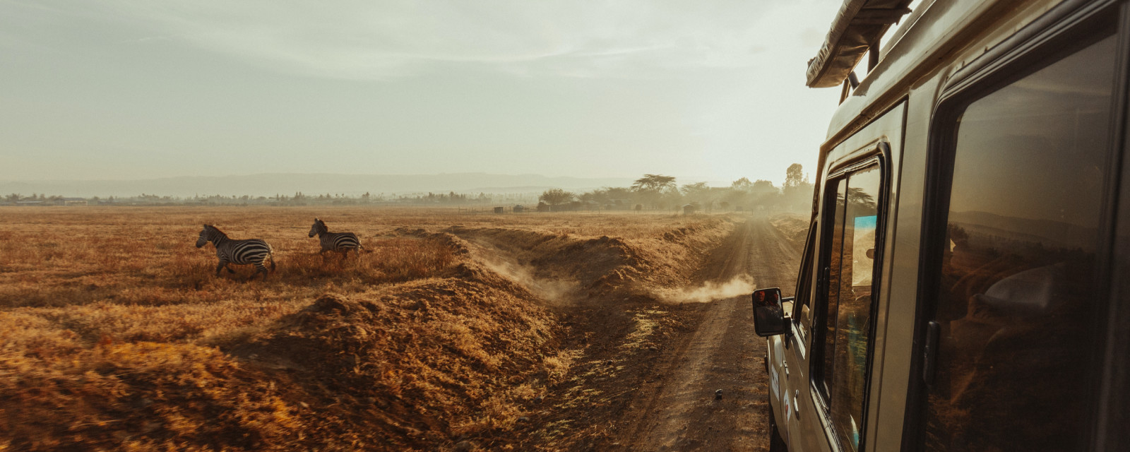 safari in kenya