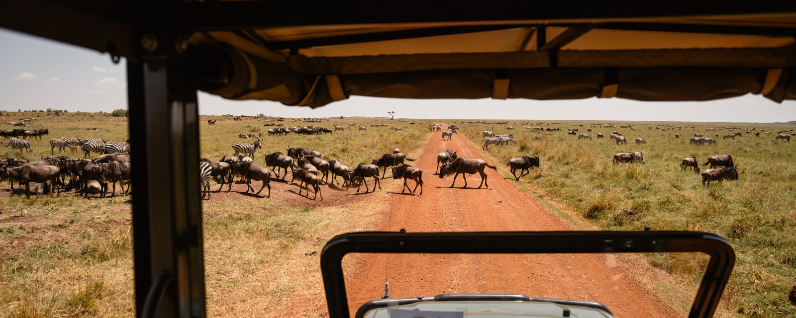 Kenya Safari