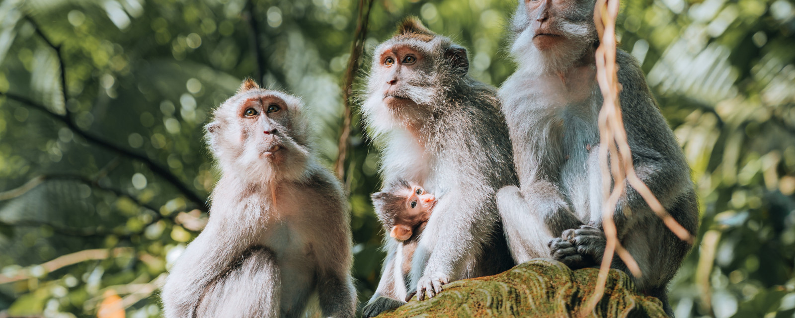 Timeless Encounters – April 15, 2027