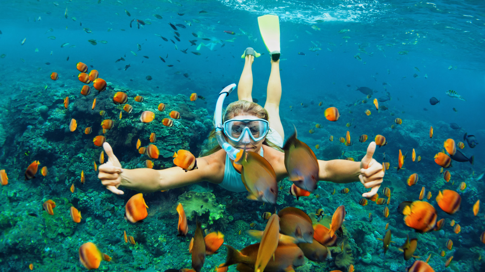 A Global Partnership to Help Secure a Healthy Ocean 