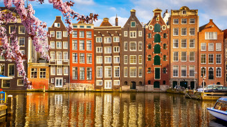 Tradizionali case sui canali di Amsterdam con fiori primaverili in primo piano.