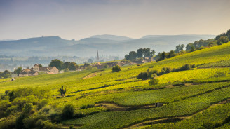 Gouden licht valt over glooiende heuvels met wijngaarden en traditionele huizen op het platteland van Bourgogne.