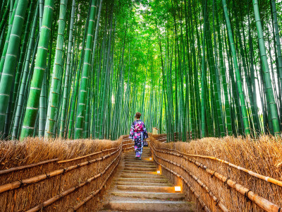 Best of Japan: Tokyo And Kyoto