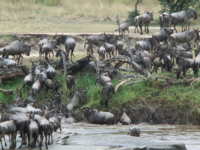 10 Amazing Things About The Great Migration