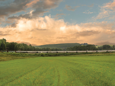 Top 5 Unique Train Experiences Not to Miss!